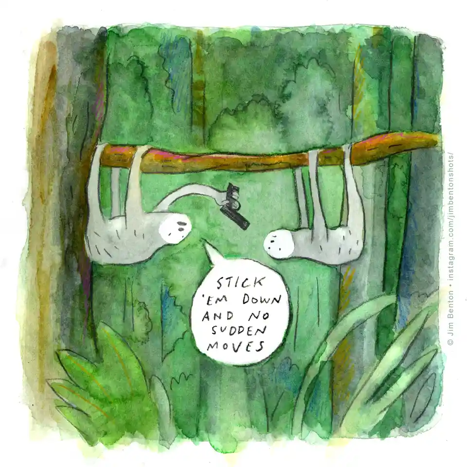 Two cartoon sloths hang upside down from a tree branch in a lush green jungle, one holding a gun and pointing it at the…