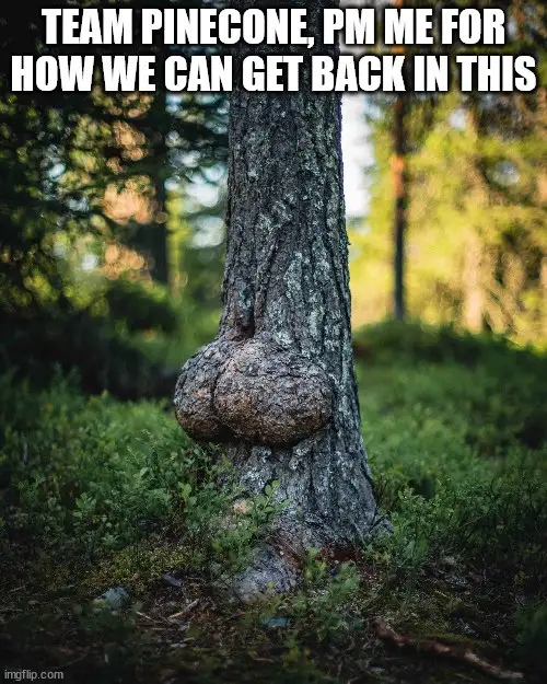 A close-up photo of a tree trunk in a forest with a large, bulbous growth at its base that resembles a human buttocks. The…