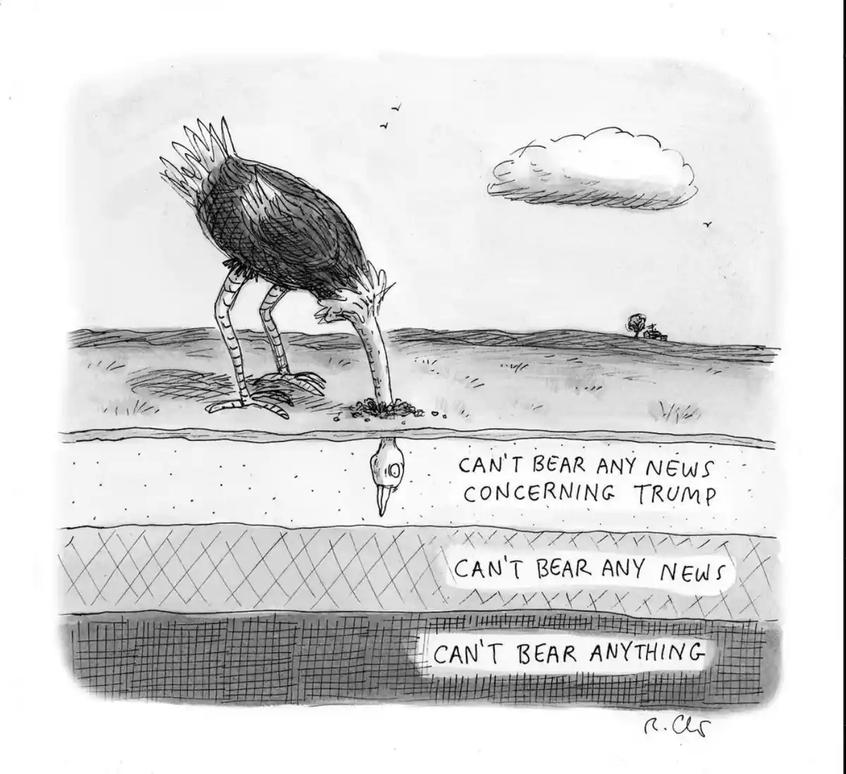A black-and-white cartoon shows an ostrich-like bird bending down to peck at the ground near a body of water. Its reflection…