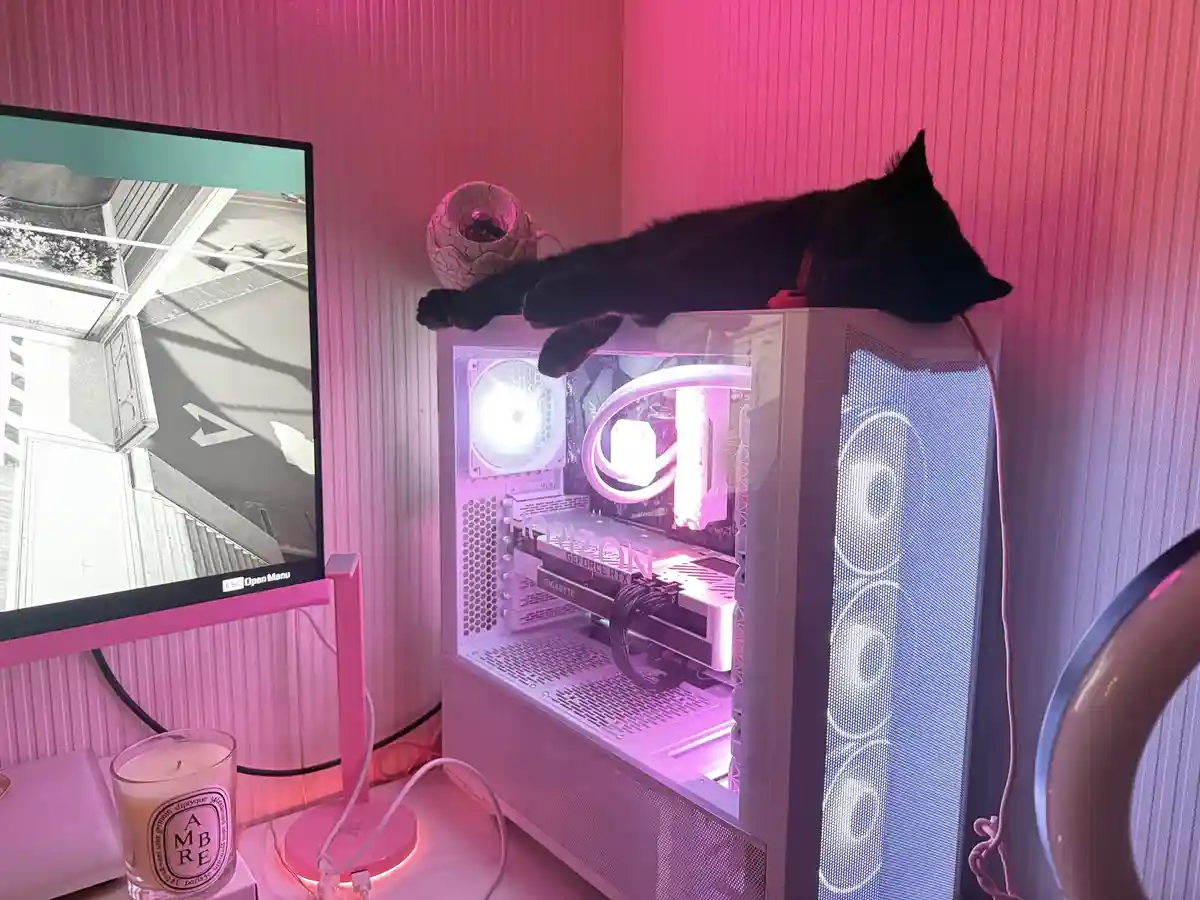 A black cat is lounging comfortably on top of a white, transparent-sided gaming PC with glowing internal components and pink…