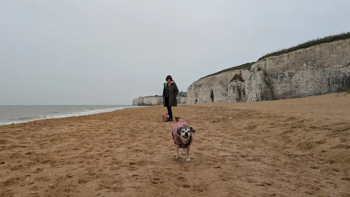 A woman stands on a wide, sandy beach with two small dogs wearing pink coats. The foreground dog looks directly at the…