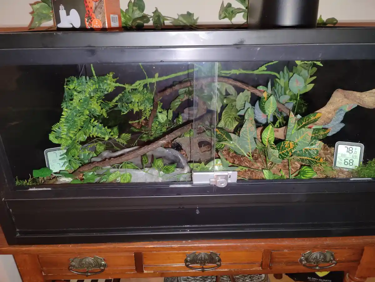 A large black glass terrarium filled with artificial green plants, branches, and wood, sits atop a wooden dresser with…