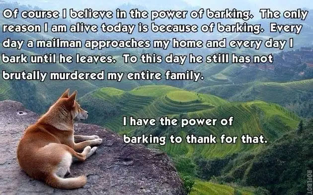A brown dog sits calmly on a rocky outcrop overlooking a vast, terraced green valley. White text is overlaid in two blocks…