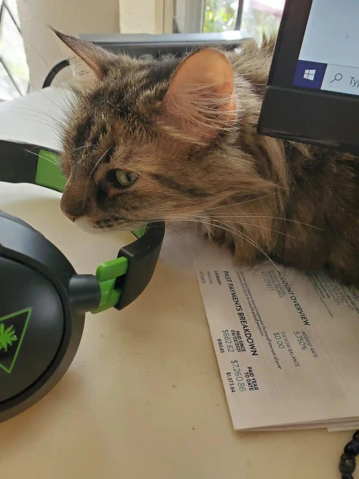 A tabby cat with green eyes is resting its head on a pair of black and green Razer headphones, positioned next to a mortgage…