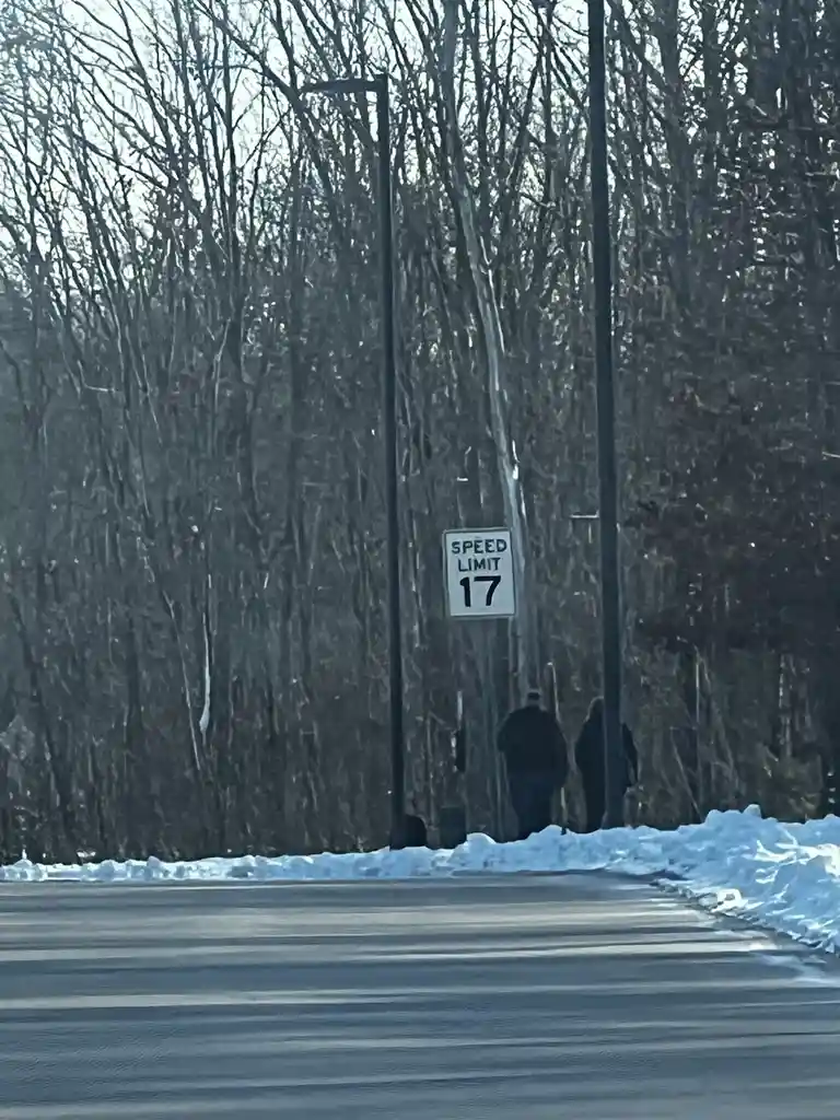 A winter road scene with snowbanks along the roadside and bare trees in the background. Two silhouetted figures walk away…