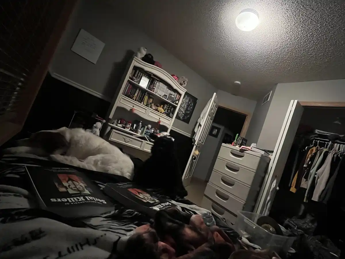 A dimly lit, messy bedroom with a person sleeping on a bed covered in blankets and two books titled 'Serial Killers'. A…