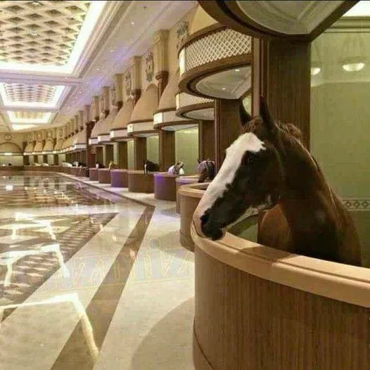 A brown horse with a white blaze on its face is seen peeking over the edge of a wooden spa tub in a luxurious, opulent spa…