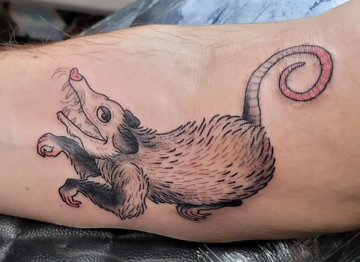 A freshly inked tattoo of a cartoonish, snarling opossum with a long curled tail and pink accents on its paws and nose is…