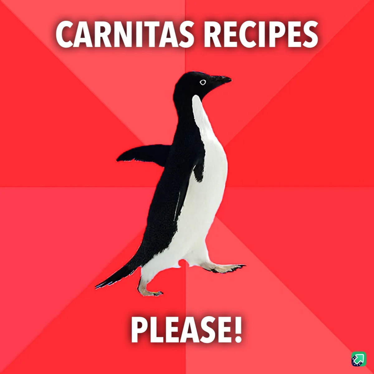 A black-and-white penguin walks forward against a red background with diagonal stripes. The text 'CARNITAS RECIPES' is at…