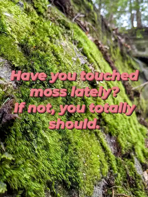 Biology memes that will make you snort with laughter!