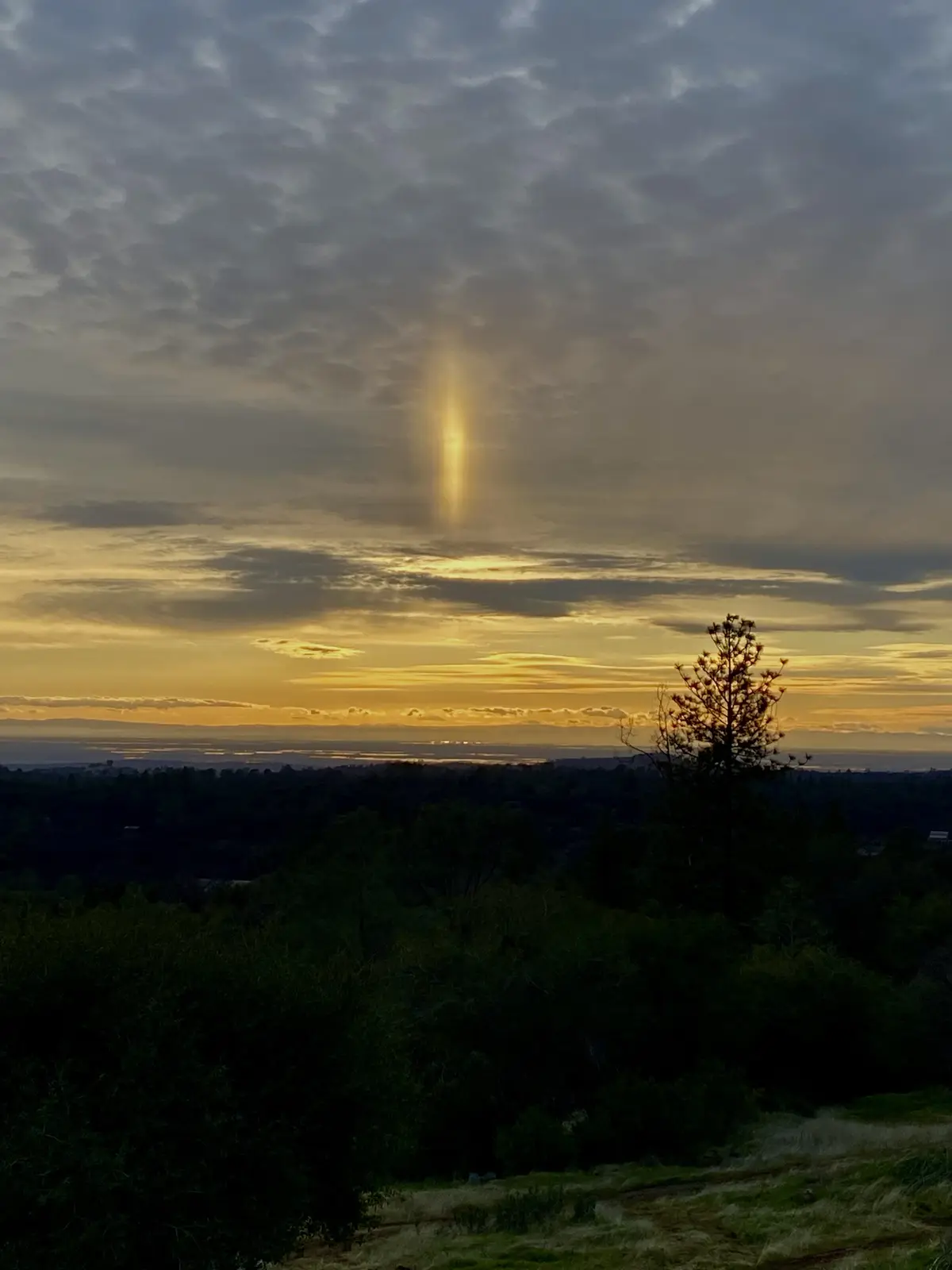 A scenic photo of a sunset or sunrise over a forested landscape with a prominent, vertical, golden light beam piercing…