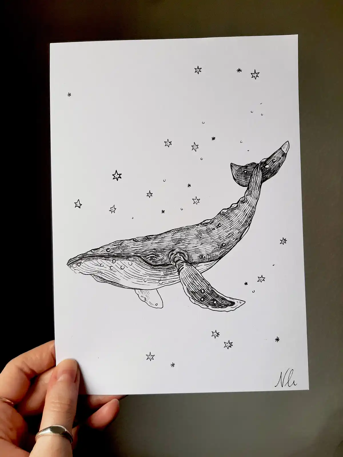 A hand holds a white paper featuring a detailed black-and-white line drawing of a humpback whale swimming upward through a…