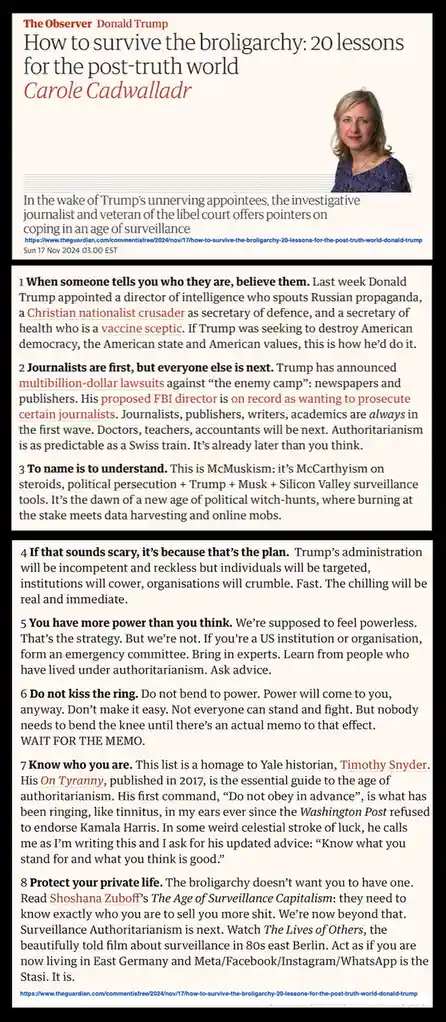 The image displays a newspaper article from The Observer titled 'How to survive the broligarchy: 20 lessons for the…