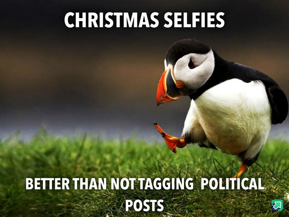 A puffin stands on green grass, looking down with one foot lifted, as if posing. White bold text at the top reads 'CHRISTMAS…