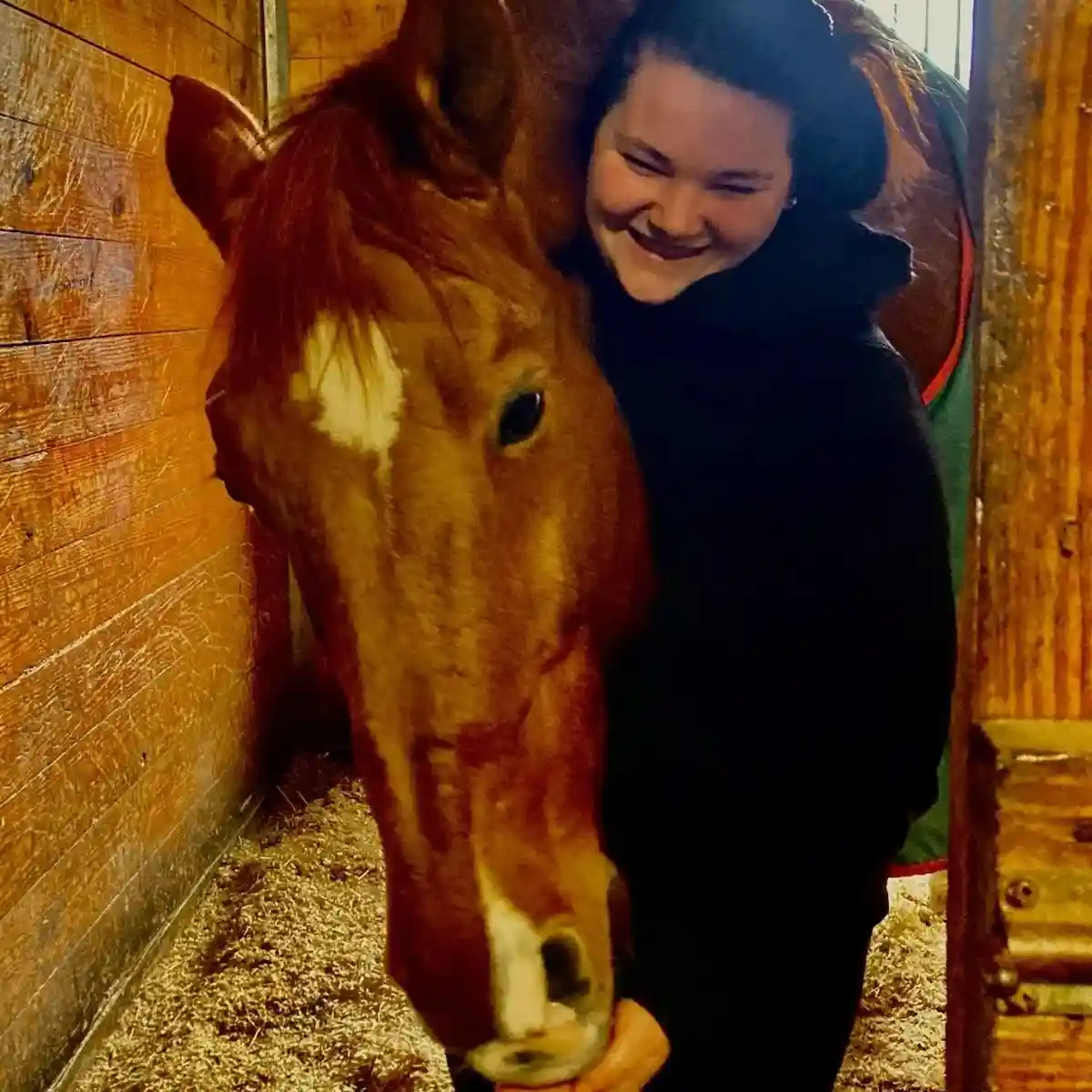 Just a majestic horse moment