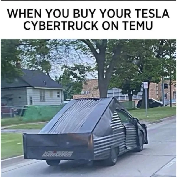 When Temu shows up like this: