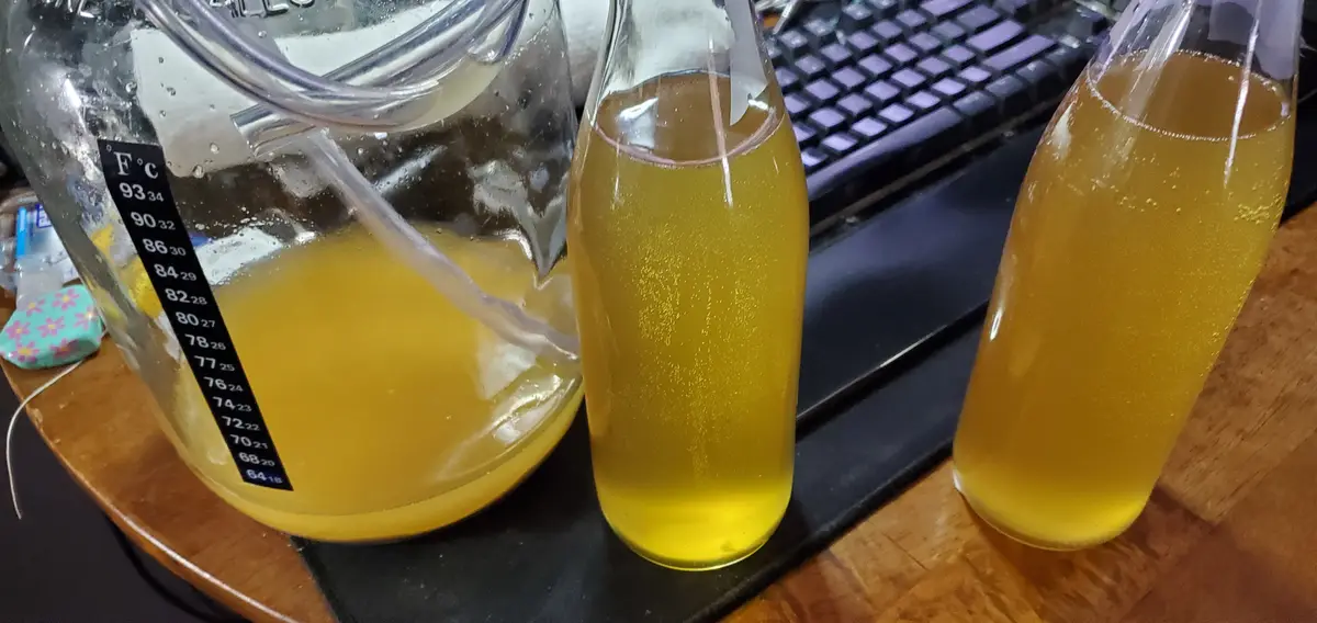 A close-up photo shows a large glass carboy with a temperature scale and a tube, filled with golden liquid, next to two…