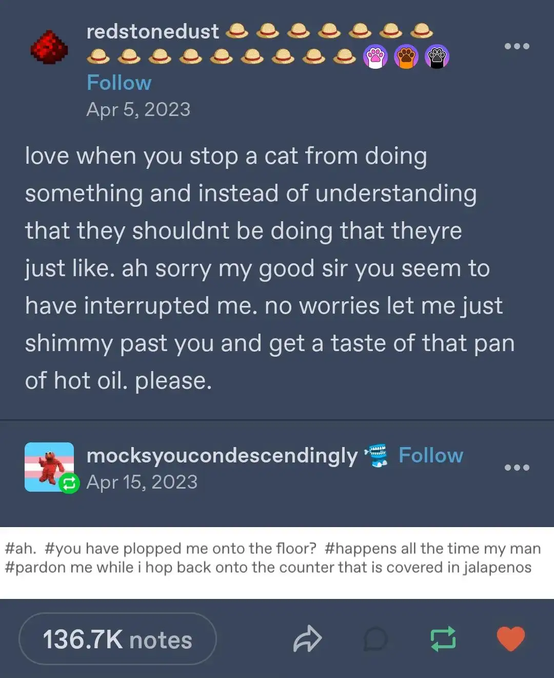 A screenshot of a Tumblr post showing a user's comment about stopping a cat from doing something dangerous, followed by a…