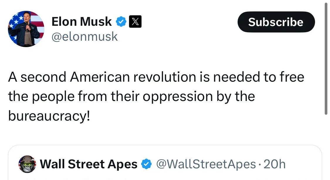 A screenshot of a tweet from Elon Musk's X account, which reads 'A second American revolution is needed to free the people…