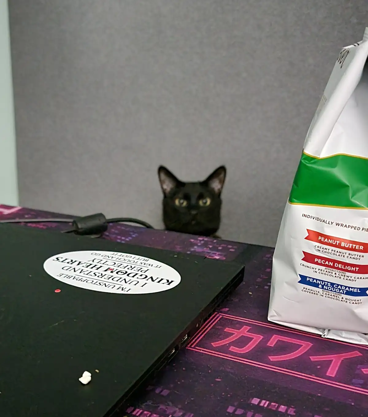 A black cat peeks over a dark laptop with a circular sticker that reads 'I UNDERSTAND KINGDOM HEARTS PERFECTLY BUT I GOT IT…