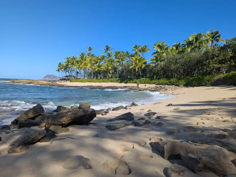 A serene tropical beach scene with clear blue skies, turquoise ocean waves, sandy shores, scattered dark rocks, and a dense…