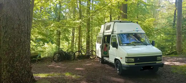 A white camper van is parked in a sun-dappled forest clearing, its side door open with a towel hanging inside. Two mountain…