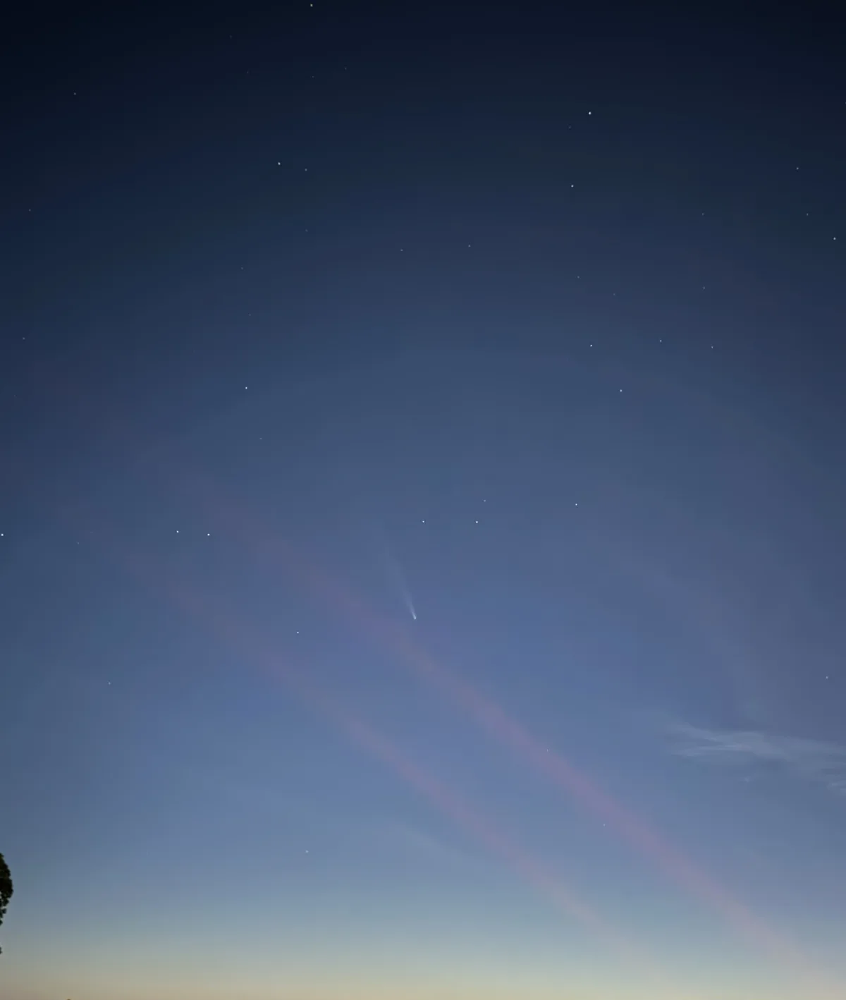 A night sky photograph showing a faint, bright comet with a visible tail streaking across a starry blue expanse, with subtle…