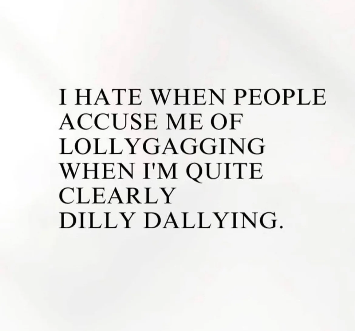 The image displays black serif text on a plain white background. The text reads: 'I HATE WHEN PEOPLE ACCUSE ME OF…