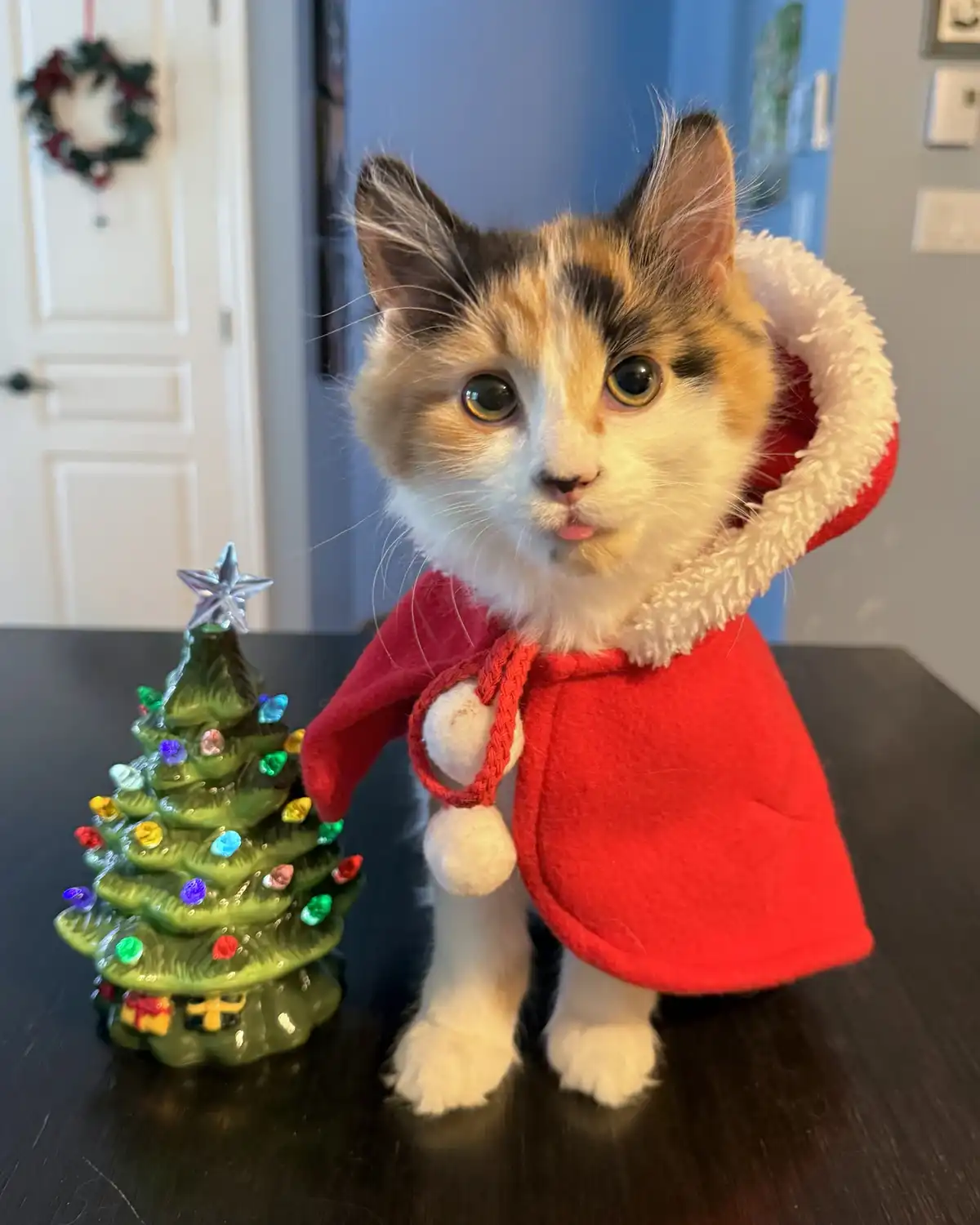 Just 2 Days Left Until Christmas!
