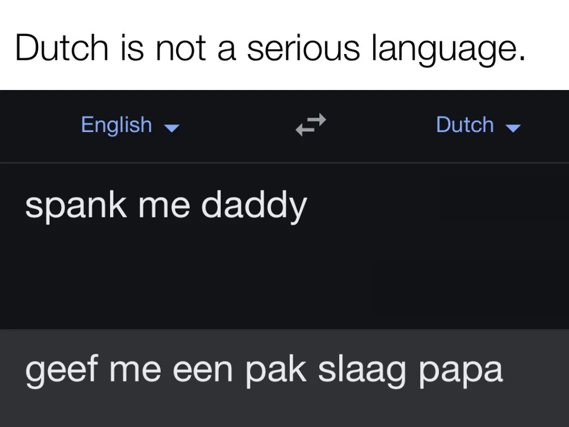 An image of a translation app interface with 'English' and 'Dutch' language options. The English input reads 'spank me…
