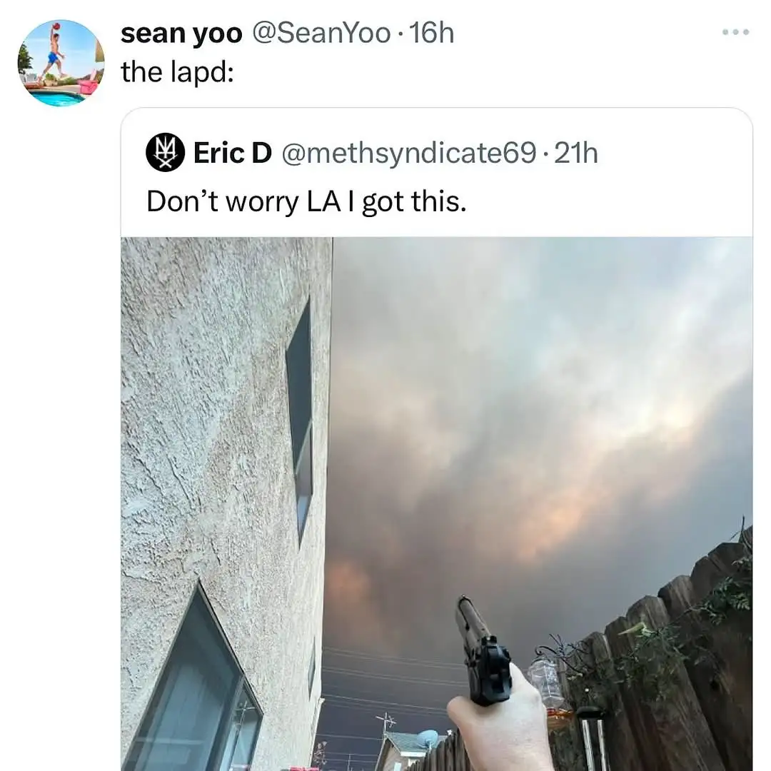 A screenshot of a tweet thread shows a user named Sean Yoo posting 'the lapd:' above a photo of a hand holding a handgun…