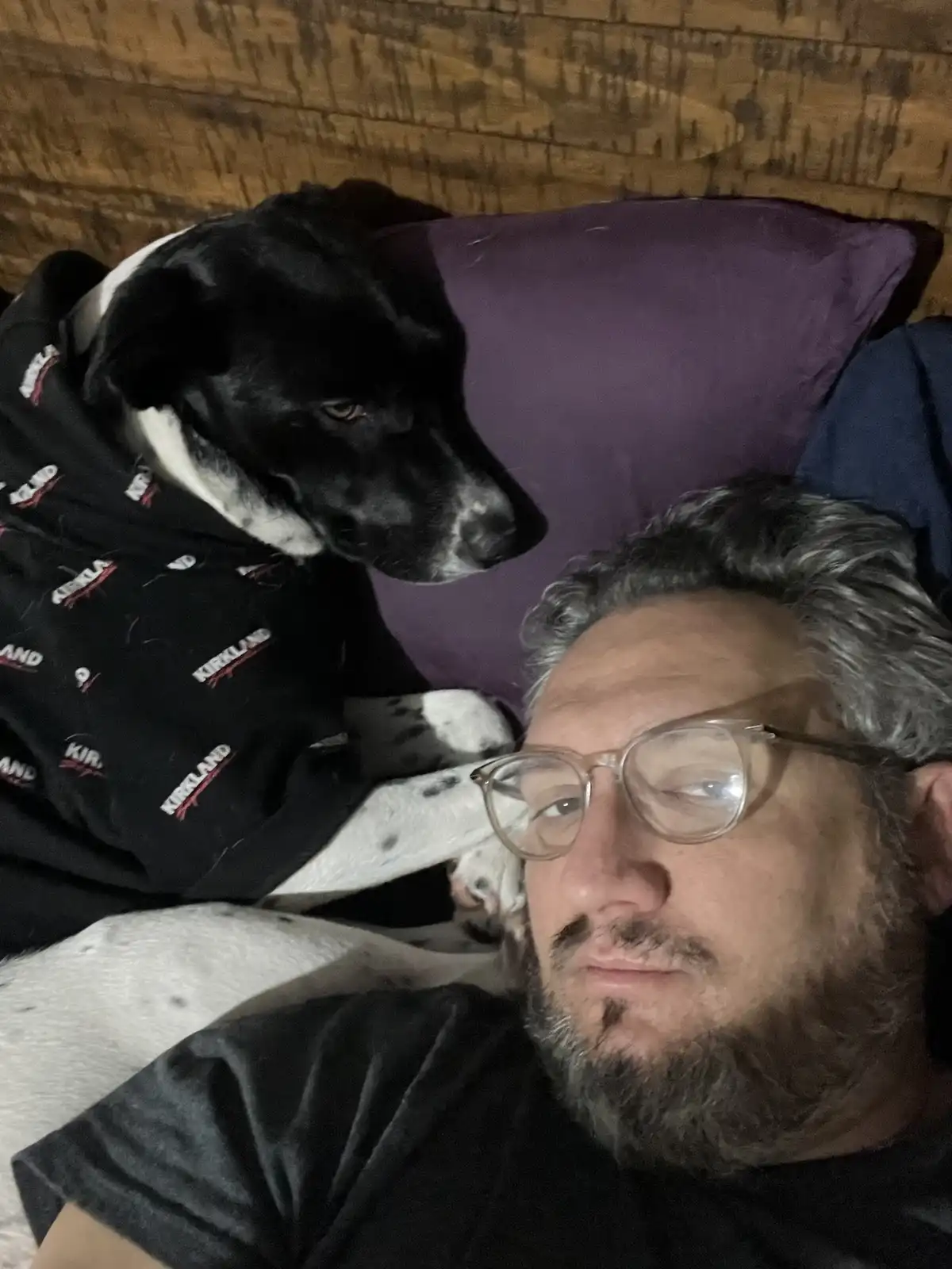 A man with glasses and a beard lies in bed next to a black and white dog wearing a 'Kirkland' hoodie. The dog looks at the…