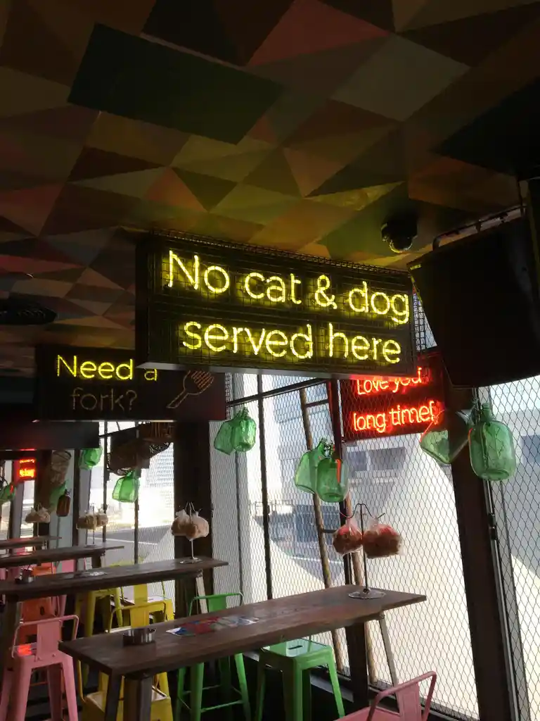 Caturday Mini Dump: Round 2 of Feline Fun