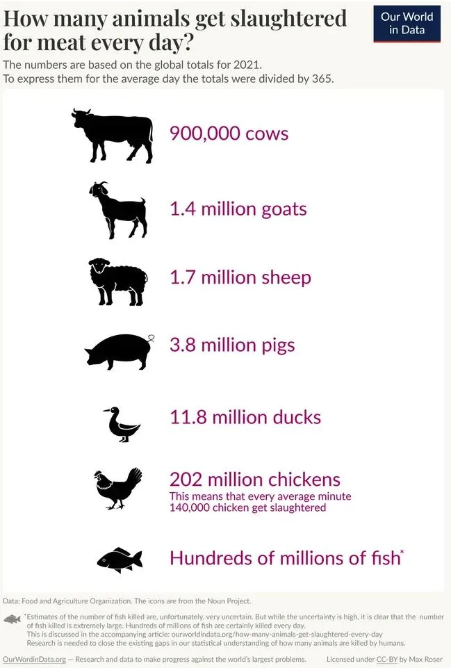 An infographic from 'Our World in Data' lists daily animal slaughter numbers for 2021, showing 900,000 cows, 1.4 million…
