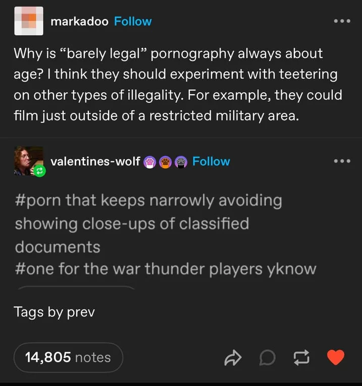 A screenshot of a Tumblr post showing a user named markadoo asking why 'barely legal' pornography always focuses on age…