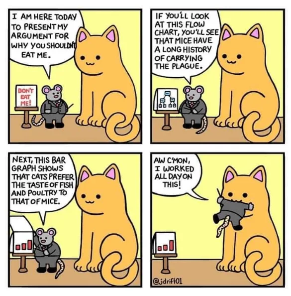 Why Cats Have a Soft Spot for Fish