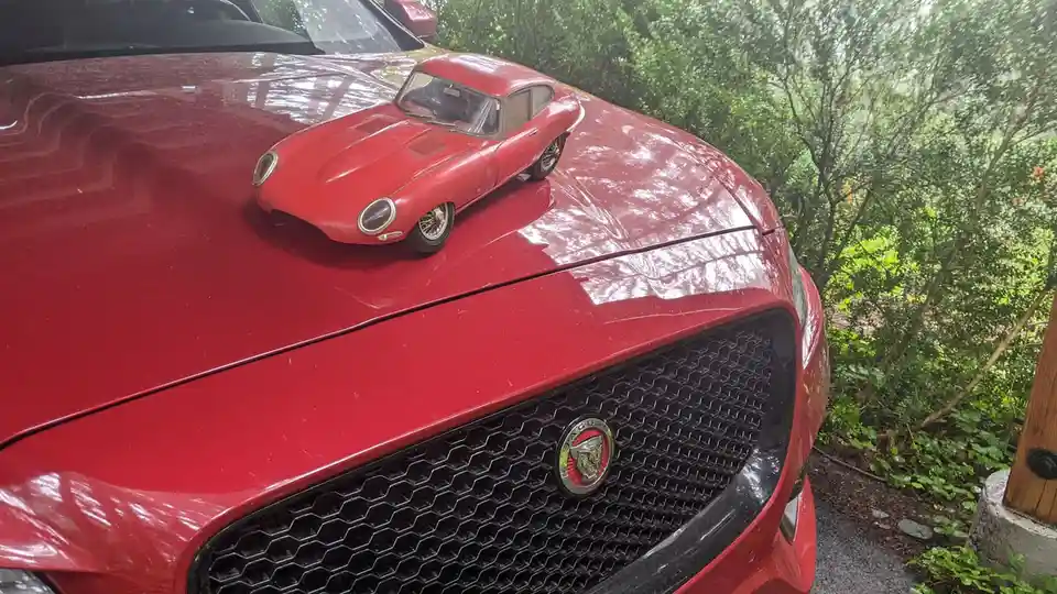The Enthusiastic Call of the Jaaaaag!