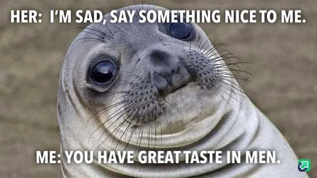 A close-up image of a seal with large, pleading eyes and a slightly upturned mouth, looking directly at the viewer. White…