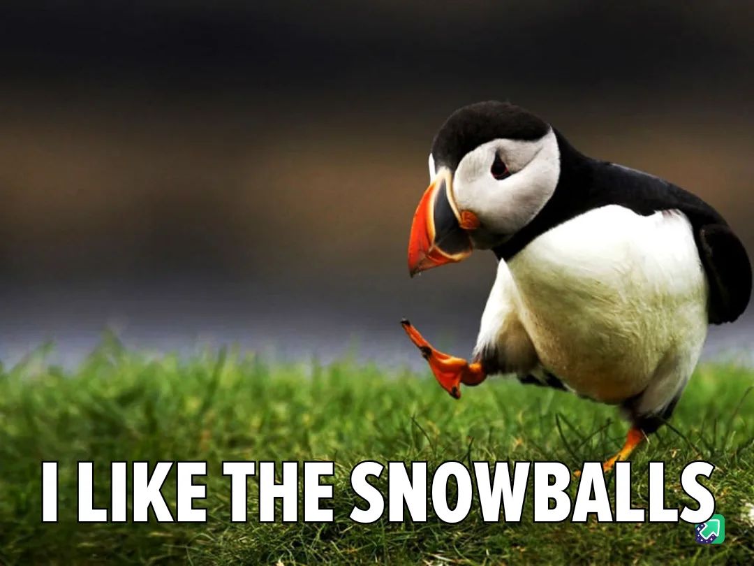 A puffin stands on green grass with one foot lifted, looking down with a comically smug or satisfied expression. The image…
