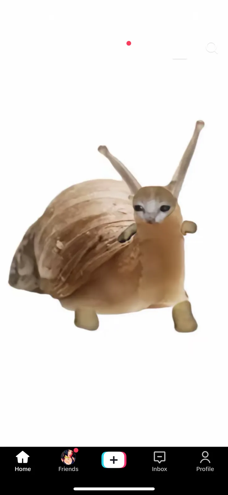 A digitally edited image shows a cat's head and upper body fused with a snail's shell and antennae, set against a plain…