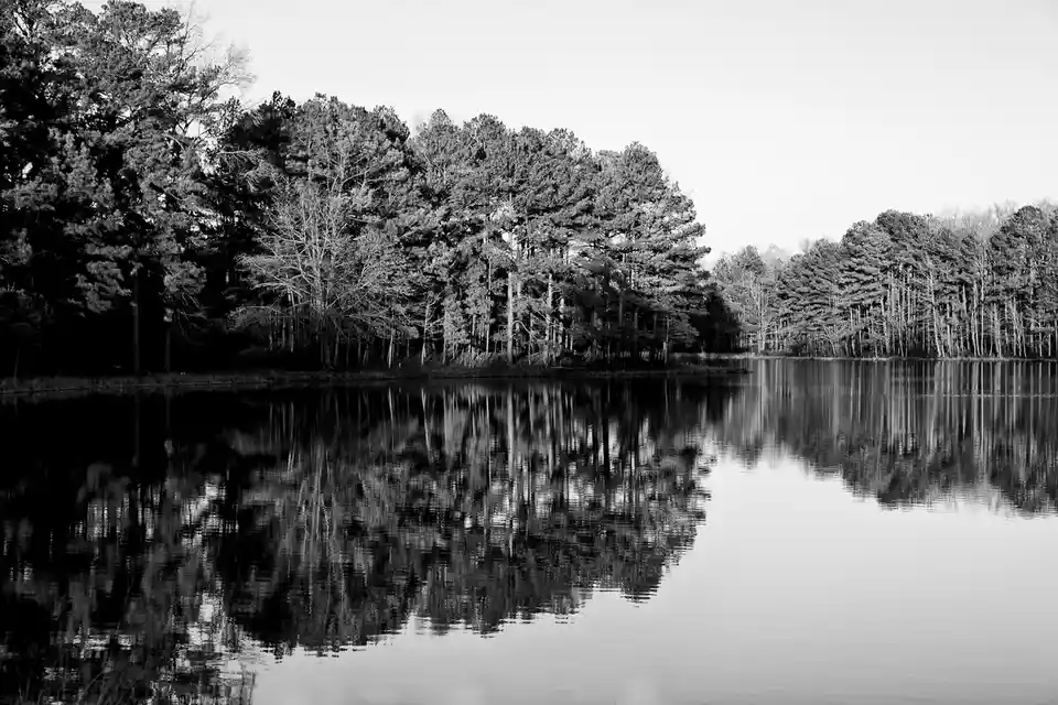 Contemplating the serene reflections on the lake