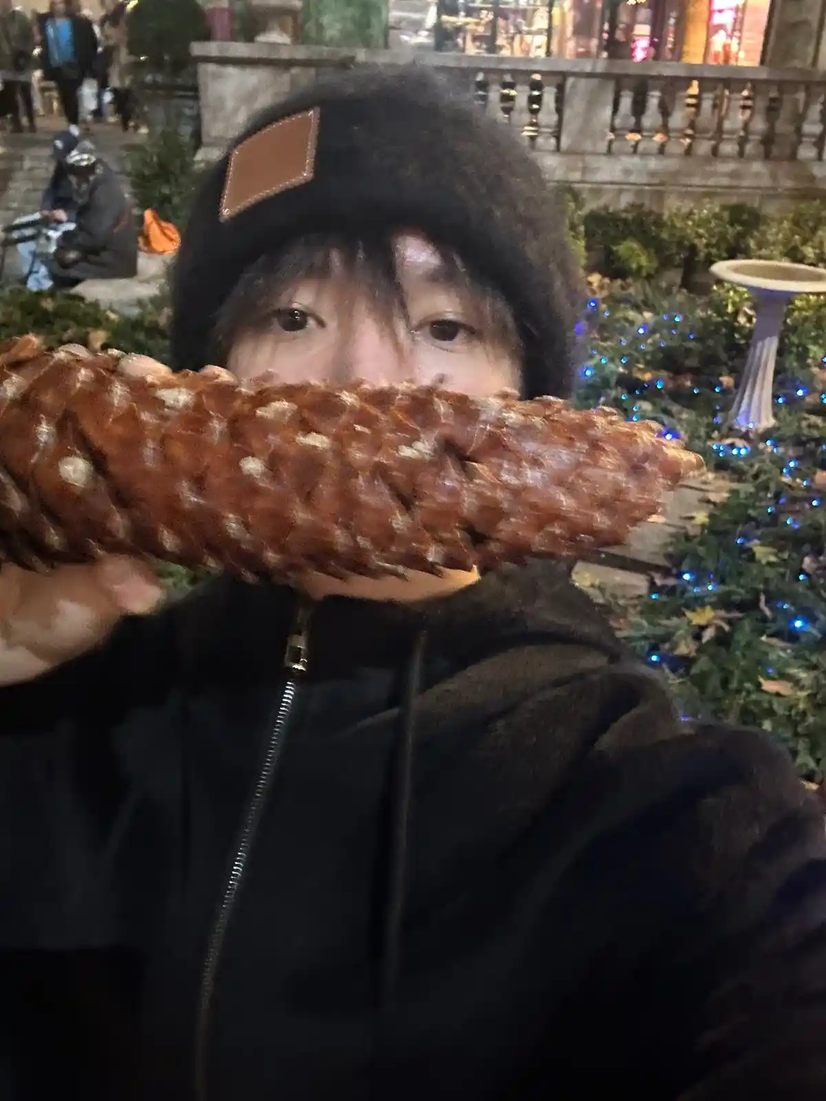 A person wearing a black beanie with a brown leather patch and a black zip-up hoodie holds a large, brown, textured pinecone…