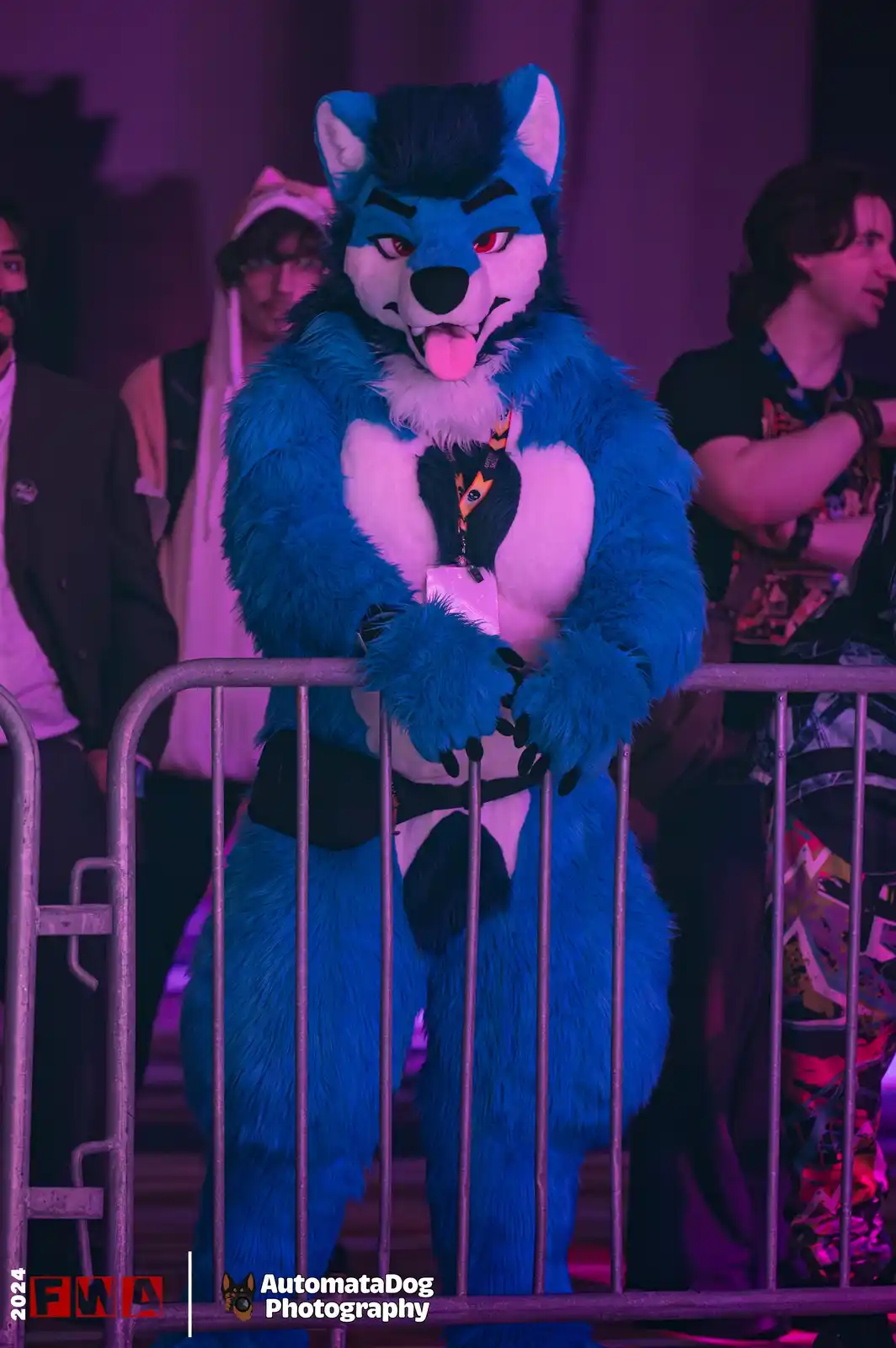 A person in a blue and white wolf fursuit with red eyes and a pink tongue sticking out stands behind a metal barrier at an…