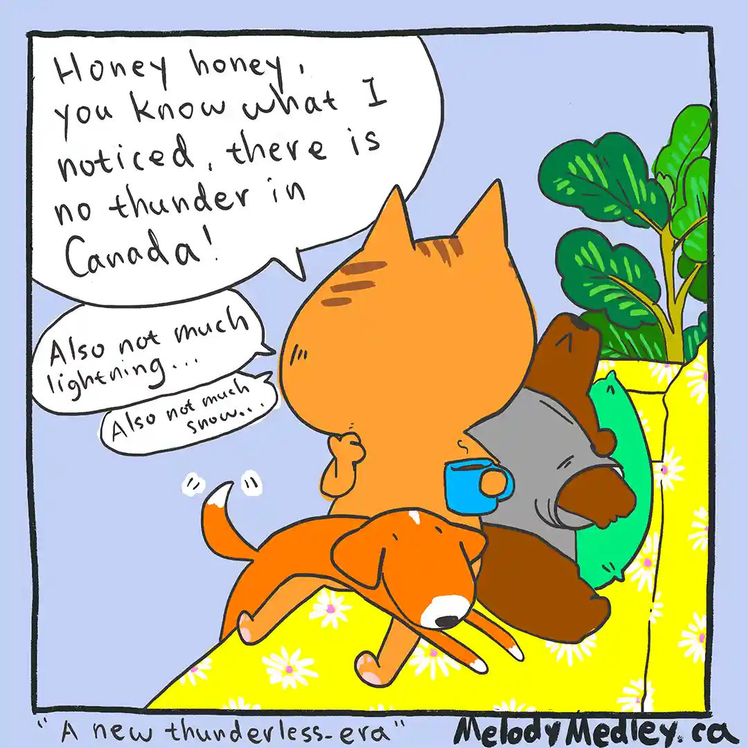 A cartoon orange cat holding a blue mug speaks to an unseen partner, listing weather observations: 'no thunder in Canada!'…