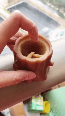 A hand holds a brown, hollow log-shaped toy that initially appears empty. When the top is lifted, a small, cute squirrel…