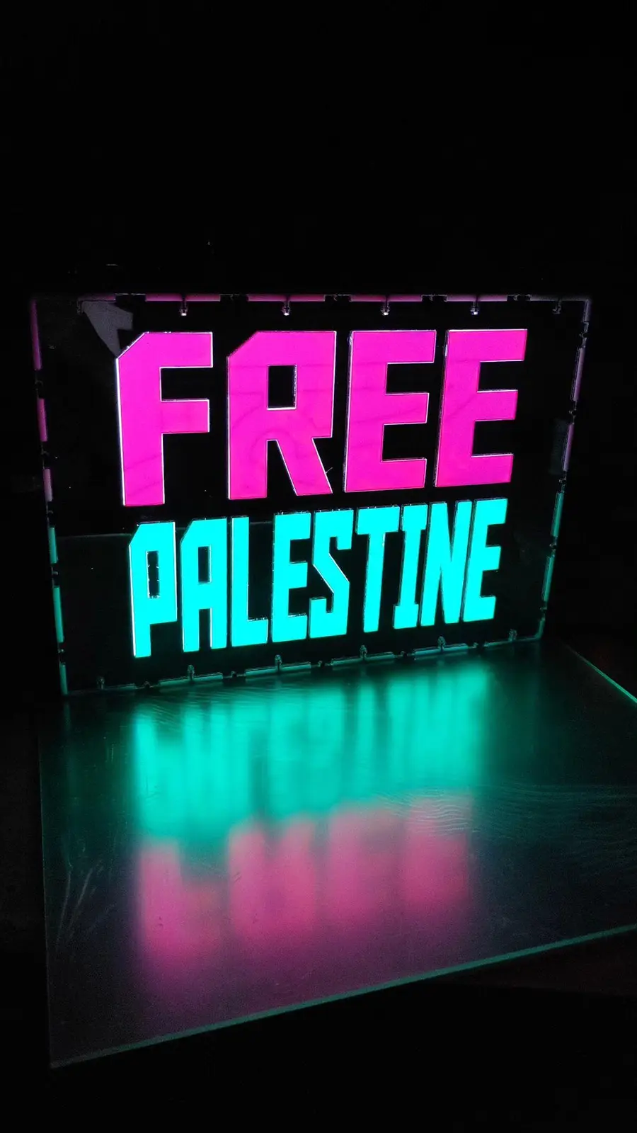 A brightly lit sign with the words 'FREE' in pink and 'PALESTINE' in teal, glowing against a dark background and casting a…