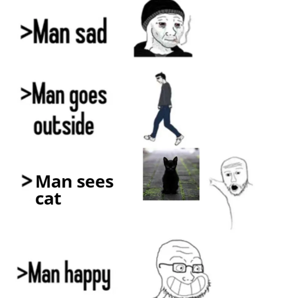 A Random Meme I Created Just for Fun