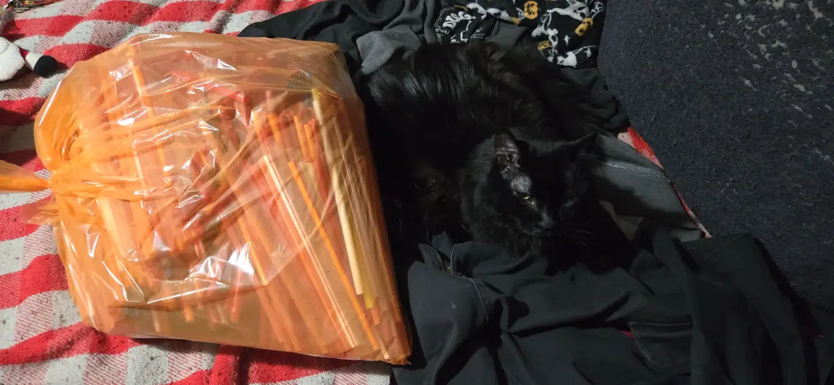 When You Have Too Many Straws for One Drink
