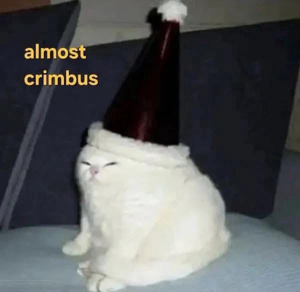 A fluffy white cat sits on a couch wearing a red and white Santa hat, looking smugly upward with closed eyes. The text…
