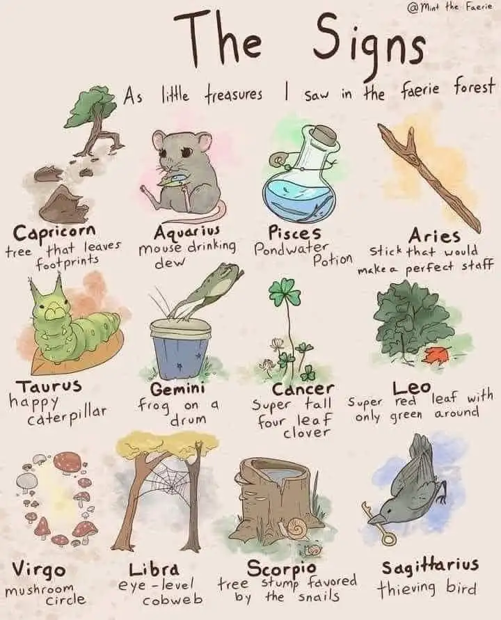 A whimsical illustrated chart titled 'The Signs' presents zodiac symbols as nature-based objects found in a faerie forest…